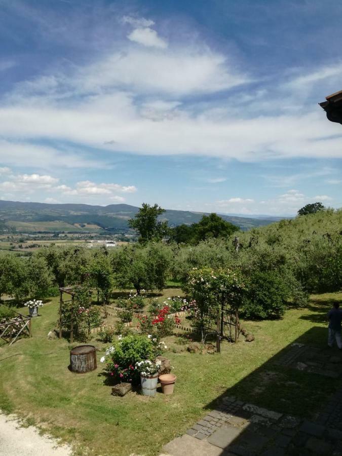 Orvieto Rocca Fiorita酒店 外观 照片